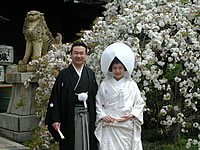 Himeji Shrine